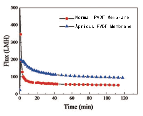 Highly-antifouling PVDF hollow fiber ultrafiltration membrane